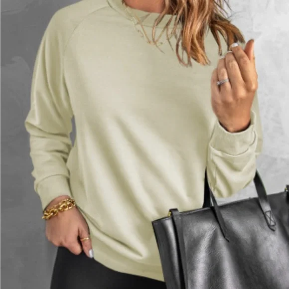Beige Crew Neck Raglan Sleeve Sweatshirt - Picture 8 of 11